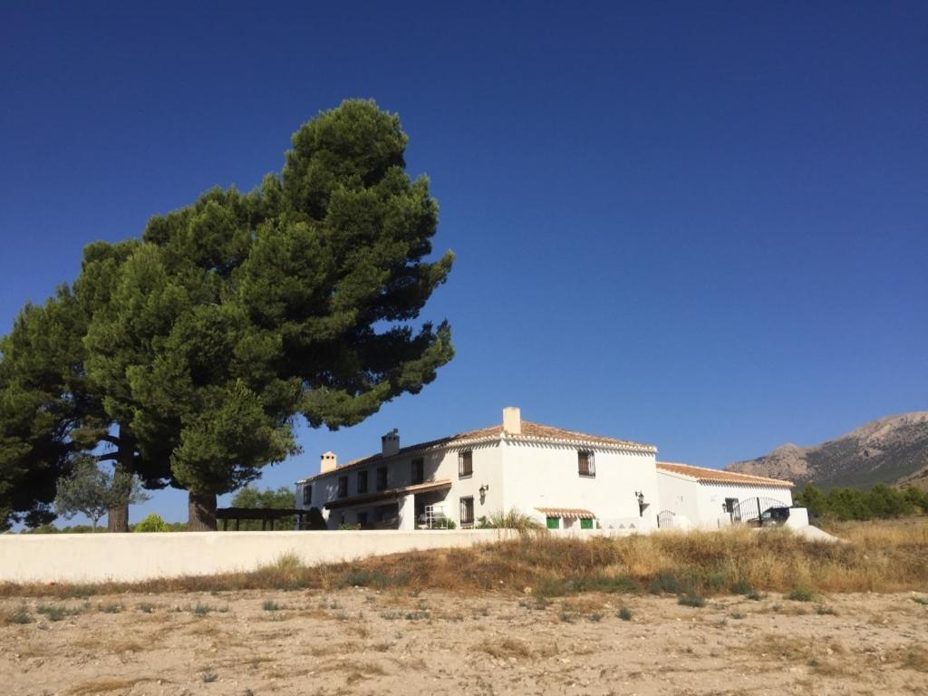 Chirivel B&B Cortijo El Ciruelo المظهر الخارجي الصورة